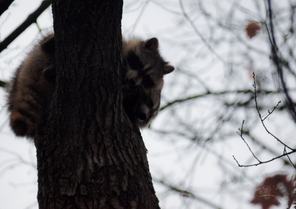 Photo: LaShawnda Jones for Spirit-Harvest.com