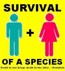 red non imagesCAL9GQQ6